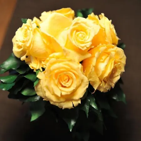 Апарт-отель -